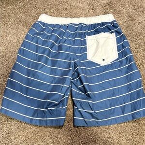 Blue Striped Men's Swim Shorts